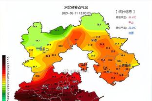 沃诺克：无法理解马夏尔怎样穿上曼联球衣的，他无法达到要求